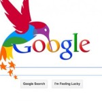 Google Humming Bird - Algorithmic change